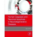 Human Caspases and Neuronal Apoptosis in Neurodegenerative Diseases