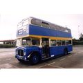Colour Photograph of Hastings & District Bus Co...