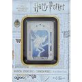 1 Oz Silver Collectible 2025 Harry Potter Magic...