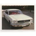 100 Great Cars of the World 1989 Euroflash Stic...