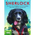 A Brave Dog Named Sherlock