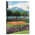 LUCERNE AND MOUNT PILATUS used postcard 1990 po...