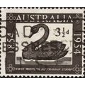 AUSTRALIA, BIRDS, Black Swan, Western Australia...