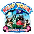 New York the Empire State Artwood Montage Fridg...