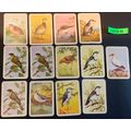 10 Vintage Tuckfields Australian Bird Cards - S...