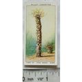 1938 Wills The Sea-Shore No. 36 Tubes of Sand M...