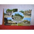 NEW FOREST INNS, multiview. used postcard by J....