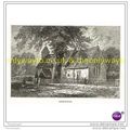 BEMERTON, Modern Reproduction