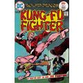 Richard Dragon (Vol 1) Kung-Fu Fighter # 002 VF...