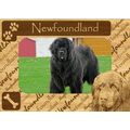 Newfoundland w Paws Engraved Wood Picture Frame...