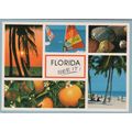 ZAYIX Postcard Fabulous Florida See It! Palm Tr...