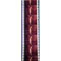 Way of the Dragon. Pk MVD - b036J . 1 STRIP OF ...