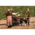 rp16911 - Dog Milk Cart in Belgium - print 6x4