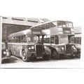 Black & White Photograph of Western Welsh Omnib...