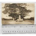 vintage postcard Vogan Memorial, Reigate Park