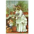 Art CATS IN THE GREENHOUSE Postcard (Mayfair SH...