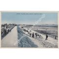 PPC Shell Beach looking East Canvey Island nr S...