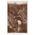 Briary Cave Watermouth Postcard RP Devon