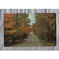 East Shore Road, Grand Isle, Vermont - Postally...