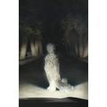 Ghostlore: #1 Reiko Murakami - Virgin (1:25) BO...