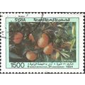 SYRIA, FRUI, Mandarin oranges, light green 1994...
