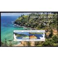 NORFOLK ISLAND: 2024, FISHING, MNH MINIATURE SH...