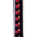 Jimi Hendrex. Pk MTP - b052z . 1 STRIP OF 5 - 3...