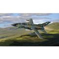 TORNADO GR.1, JOHNNIE WALKER 'STILL GOING STRON...