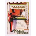 Poster Advert Art Postcard Hall's Distemper Jes...
