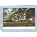 Rhode Island Westerly Wilcox Park~964