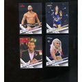 2017 Topps WWE Card #64 BILLIE KAY NXT HOT DIVA...