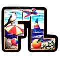 Florida The Sunshine State Artwood Initial Frid...
