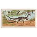 1972 Brooke Bond Tea card Prehistoric Animals C...