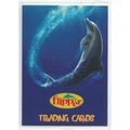 FLIPPER ' PROMO ' card ( 1996 )
