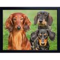 DACHSHUND 3D FRIDGE MAGNET Great Christmas stoc...