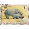GUINEA, MAMMAL, Hippopotamus, yellow 1968, 15 GFr