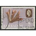 Barbados 1966 Marine Life 5c Sepia Rose and Lil...