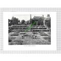 The Rose Garden Homestall Sussex - c.1950s Cutt...