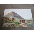 1950s Postcard - Gathering Turf in Irish Hills ...