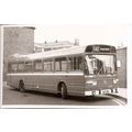 Black & White Photograph of Bristol Omnibus Co....