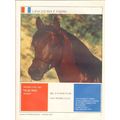 ginger blue farms 1972 morowiec exelsior morwa ...