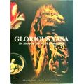Glorious Vasa - The Magnificent Ship 17th Century Sweden by Erling Matz