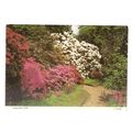 SANDLING PARK, SALTWOOD, KENT unused postcard ....