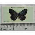 1927 Wills British Butterflies No. 11 Small Blue