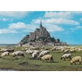 Mont Saint Michel France Postcard unused VGC