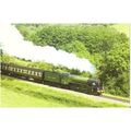 West Somerset Railway WSR 60163 Tornado Locomot...