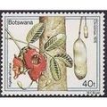 Botswana 1976 Xmas Trees 40t Kigelia Africana U...