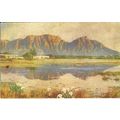 South Africa TABLE MOUNTAIN Art Postcard