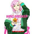 Wind Breaker 7