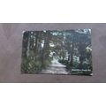1910 fr Postcard - Want-Y-Glyn, Colwyn Bay - De...